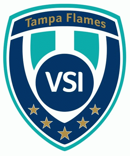 vsi tampa flames 2012-pres primary Logo t shirt iron on transfers